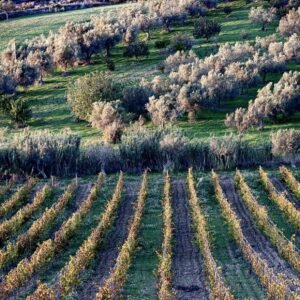 474899526_1156404319822954_3964576622540482455_n