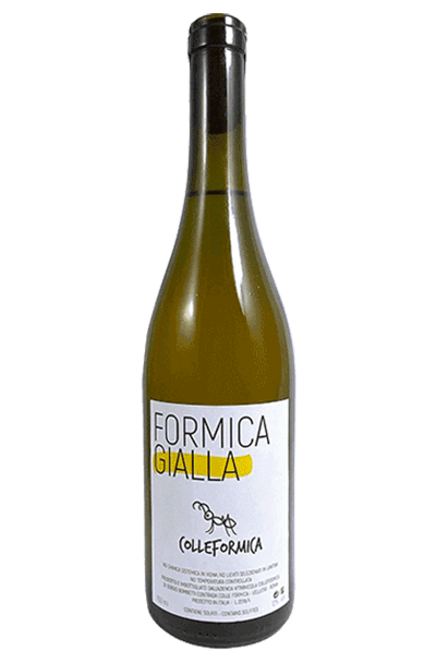 PRÓXIMAMENTE Formica Gialla 2024