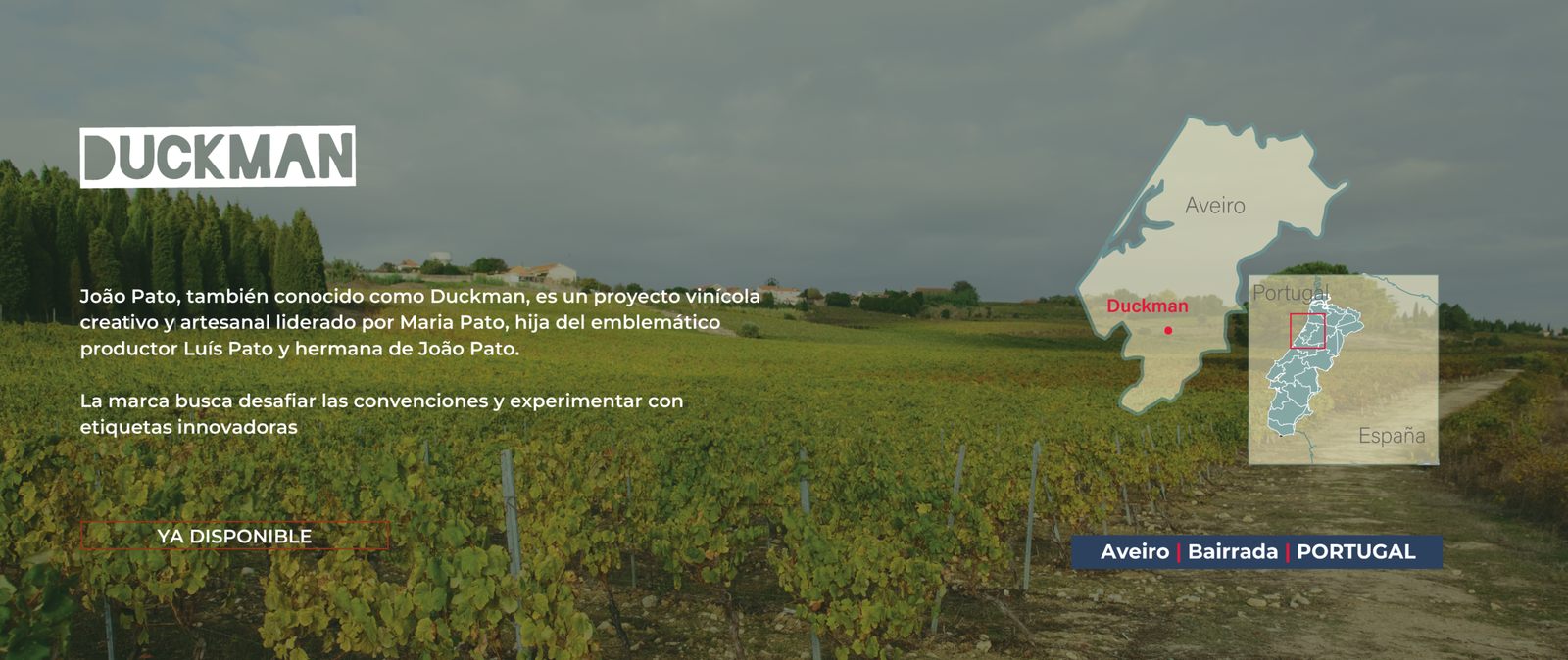 BANNER BODEGAS-05