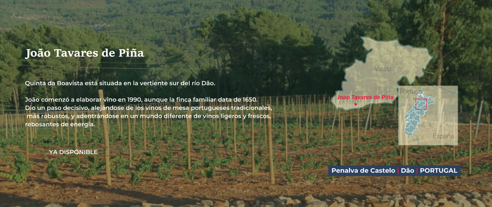 BANNER BODEGAS-06