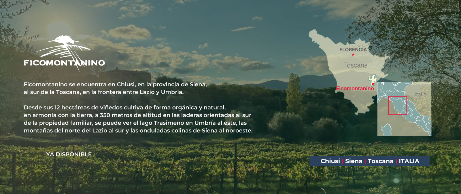BANNER BODEGAS23-02
