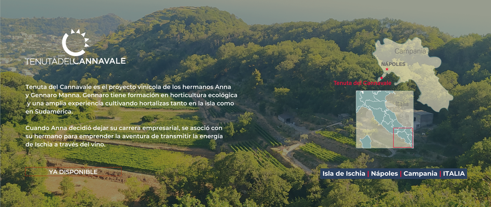 BANNER BODEGAS23-03