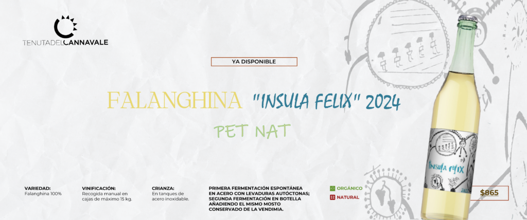 TENUTA DELCANNAVALEe-01