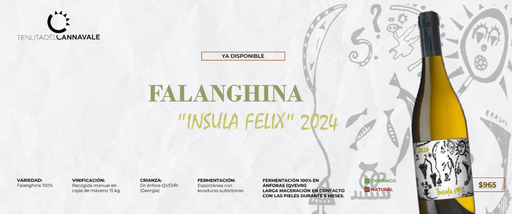 TENUTA DELCANNAVALEe-02