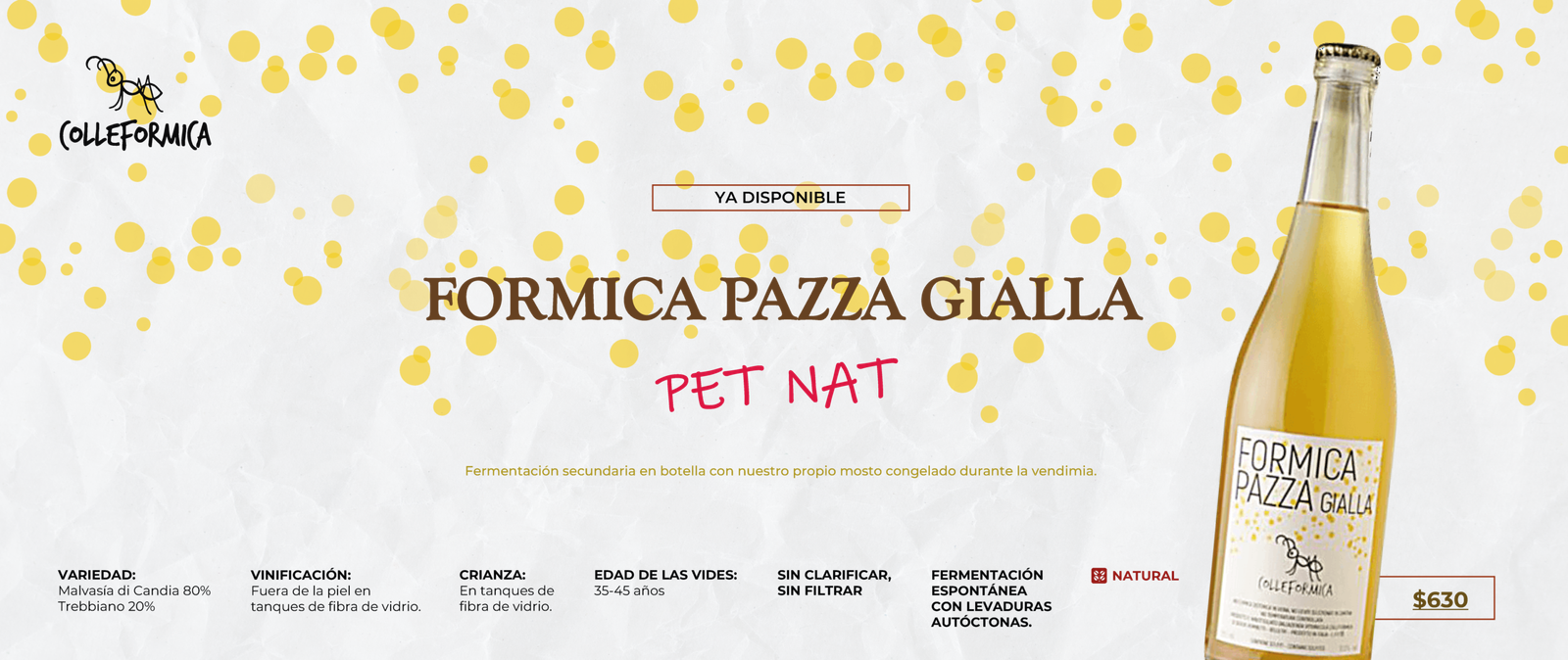 colleformica (1)-01