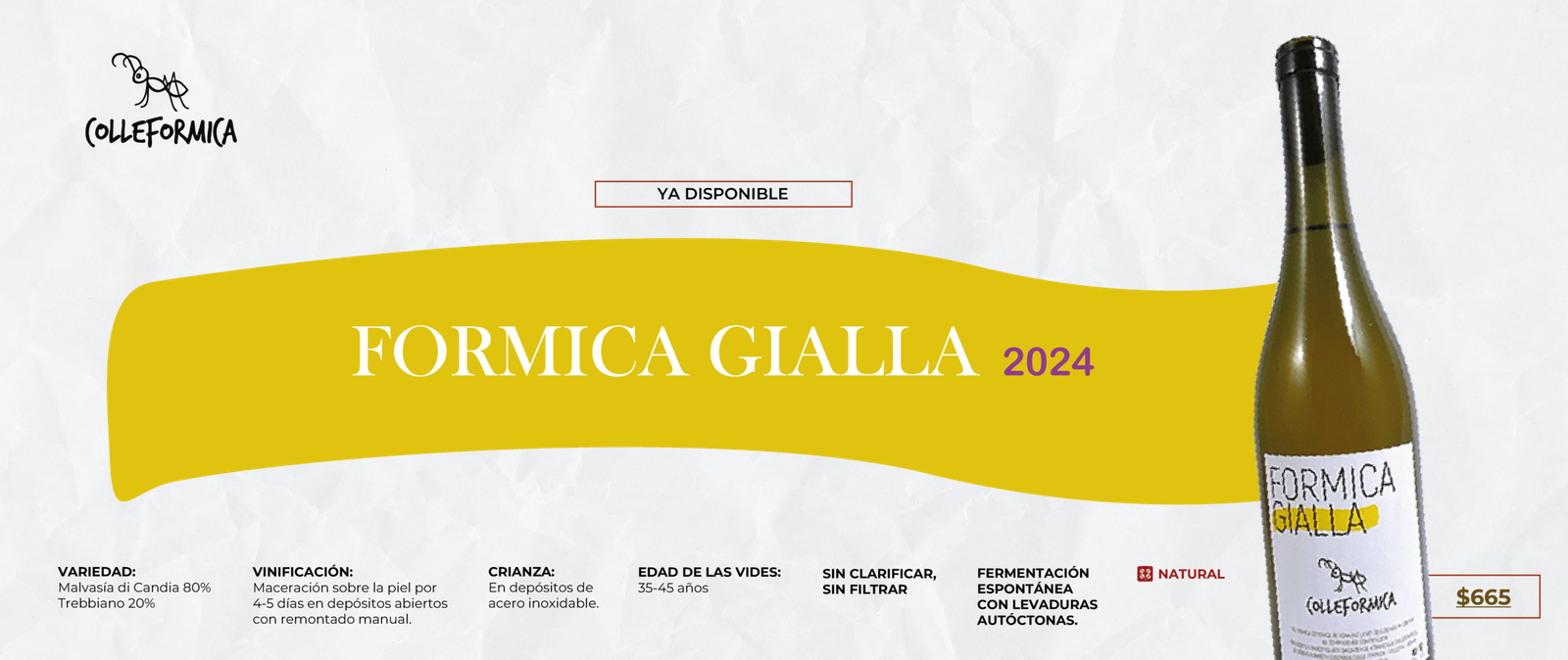 colleformica (1)-02