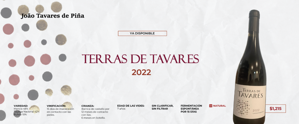 joao tavares-05