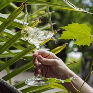 bozen, Loacker wein, Wine estate, Südtriol, Toscana, Corte Pavone, Tuscany, Wine, Biodynamic, Biodynamik, Biodinamica, Vino,