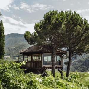 bozen, Loacker wein, Wine estate, Südtriol, Toscana, Corte Pavone, Tuscany, Wine, Biodynamic, Biodynamik, Biodinamica, Vino,